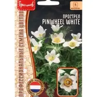 Семена цветов Прострел Pinwheel White 3шт.  12.29 г.