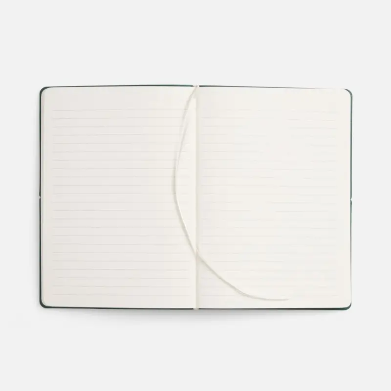 Ежедневник Kuka, недатированный, светло-зеленый Ежедневник Kuka, недатированный, светло-зеленый