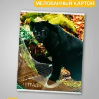 Набор тетрадей, 96 листов в линейку, Calligrata &laquo;Дикие кошки&raquo;, серые листы, 4 штуки