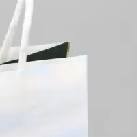 Пакет подарочный под бутылку, упаковка, &laquo;Вино&raquo;, белый крафт, 13&times;36&times;10 см