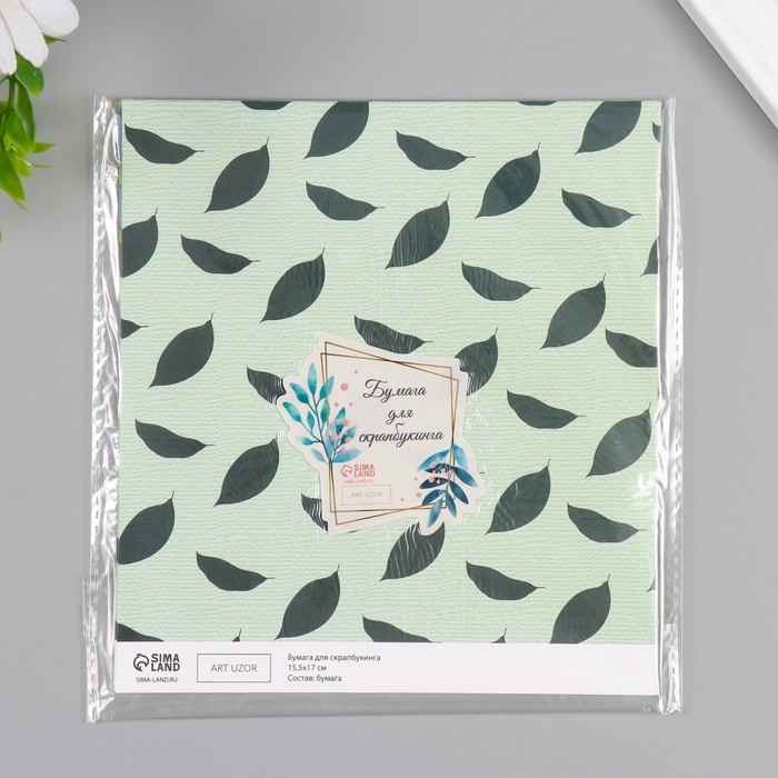 Бумага для скрапбукинга двусторонняя Бумага для скрапбукинга двусторонняя "Авокадо" плотность 180 гр набор 10 шт 15,5х17 см