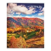 Тетрадь 96 листов, в клетку, Calligrata &laquo;Природа&raquo;, серые листы, МИКС
