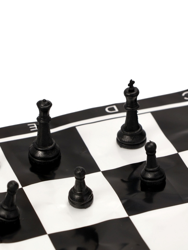 Шахматы 22 х 22 см, король h-2.1 см, d-0.9 см, фигуры пластик Шахматы 22 х 22 см, король h-2.1 см, d-0.9 см, фигуры пластик