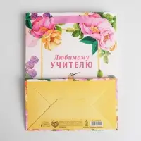 Пакет подарочный ламинированный, упаковка, «Любимому Учителю», MS 18 х 23 х 10 см