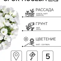Семена цветов Петуния &laquo;Нуволари&raquo;, полуампельная, белоснежная, F1, 5 шт., Farao, &laquo;АЭЛИТА&raquo;