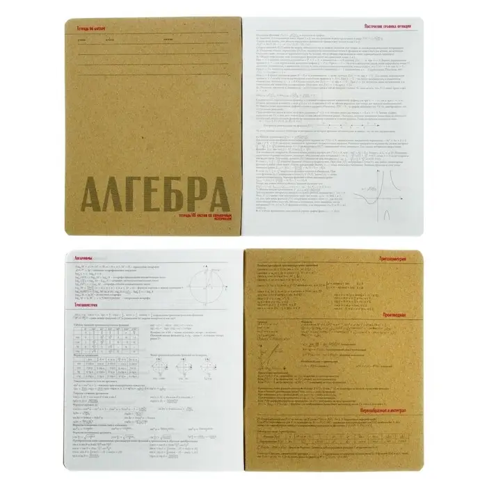 Тетрадь предметная Hashtags, 48 листов в клетку &laquo;Алгебра&raquo; со справочным материалом, блок 65 г/м2