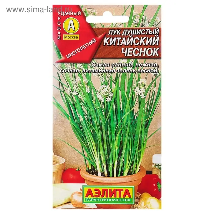 Семена Лук душистый  Семена Лук душистый "Китайский чеснок", Мн, 0,3 г