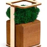 Кашпо композиция со мхом "Бриовуд", мох стабилизированный: Forest green (Зелёный лес)