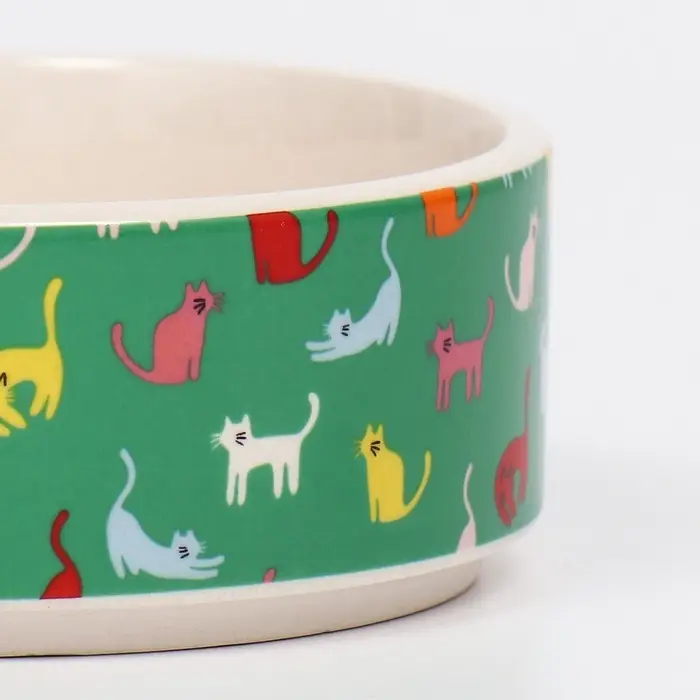 Миска &laquo;Котэ&raquo;, 200 мл, 10.5&times;10.5&times;4 см, керамика, зелёная, белая