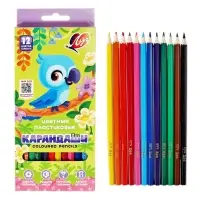 Цветные карандаши 12 цветов ZOO, пластиковые, шестигранные
