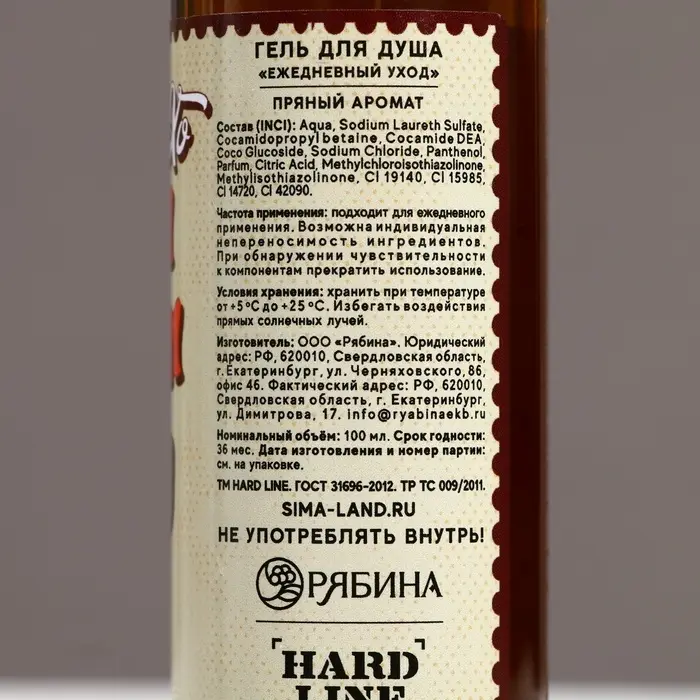 Гель для душа мужской &laquo;С Новым Годом, бро!&raquo;, 100 мл, аромат пряный, Чистое счастье