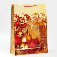 Пакет подарочный новогодний ламинированный «Поздравляю», L 28 х 38 х 9 см