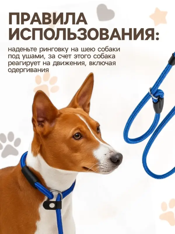 Ринговка для собак, 130&times;0.8 см, синяя