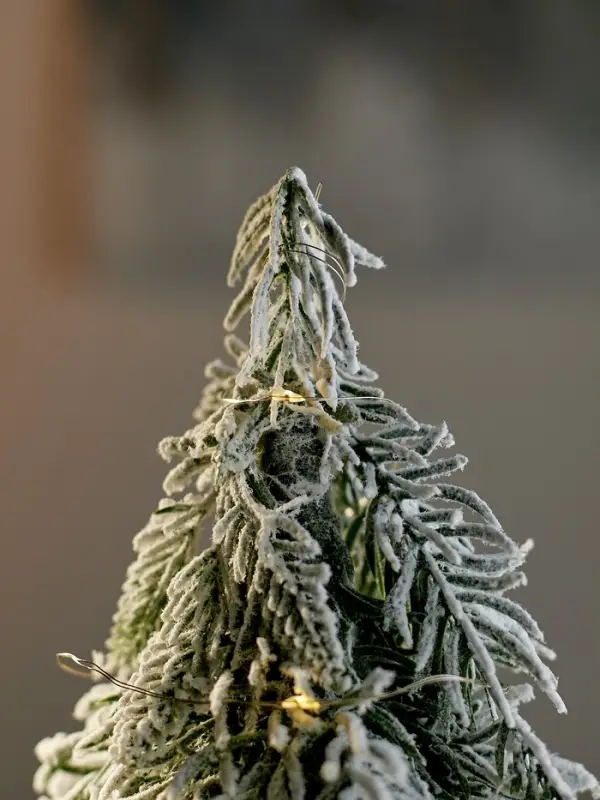 Фигура светодиодная "Заснеженная ель" 29 см, 20 LED, AG13х3 (в компл.), БЕЛЫЙ