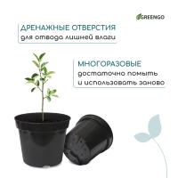 Горшок для рассады, 15 л, d = 31 см, h = 26 см, чёрный, Greengo