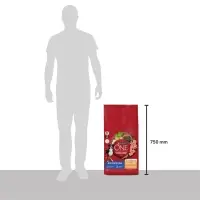 Сухой корм Purina One medium/maxi для взрослых собак, курица/рис, 10 кг