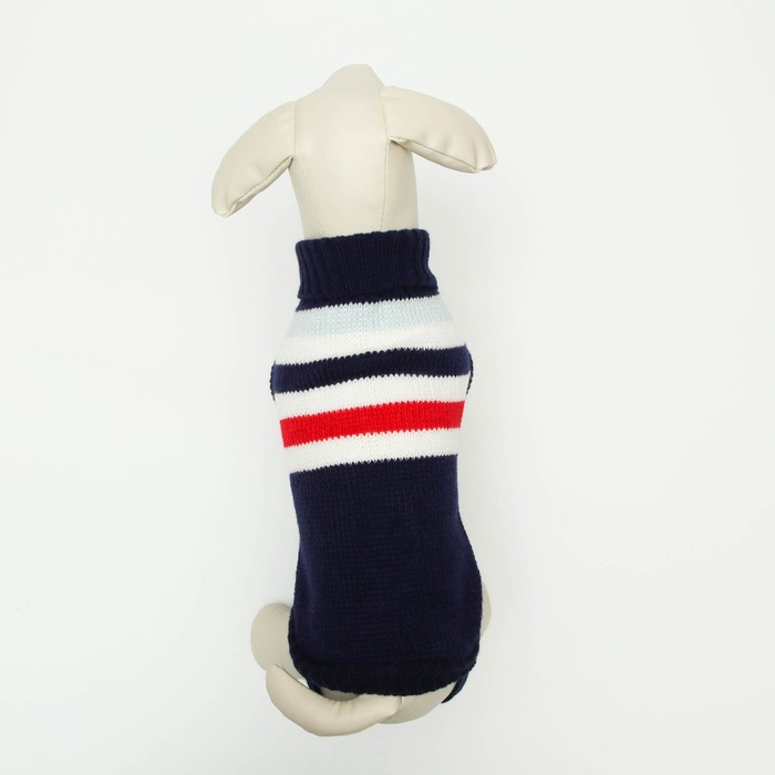 Свитер, размер 10 (ДС 30-45, ОШ 16-31, ОГ 30-45 см), микс расцветок Свитер, размер 10 (ДС 30-45, ОШ 16-31, ОГ 30-45 см), микс расцветок