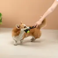 VETTA Игрушка для домашних животных, ПЭ, хлопок, 19,5 см