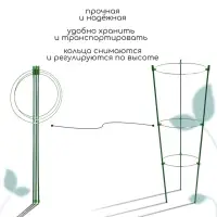 Кустодержатель, d=18&ndash;20&ndash;22 см, h=60 см, 3 кольца, металл, зелёный, Greengo