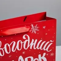 Пакет подарочный &laquo;Новогодний подарок&raquo;, ML 23&times;27&times;11.5 см