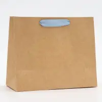 Пакет с PVC окном, &laquo;Настоящему мужчине&raquo;, 24&times;11&times;20 см