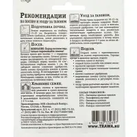 Газон декоративный "Зеленый квадрат", 30 г