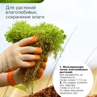 Мох сфагнум для террариумов &laquo;Рецепты дедушки Никиты&raquo; 2 л