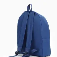 Рюкзак школьный на молнии, с карманом, размер 27&times;11&times;37 см, синий