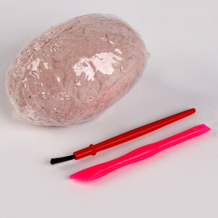 Раскопки с мягкой игрушкой «Дракоша», микс Раскопки с мягкой игрушкой «Дракоша», микс