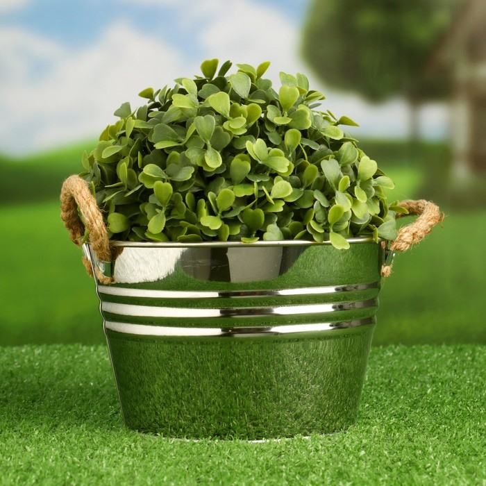 Кашпо  Кашпо "Ведерко Элла" низкое, 17х13х11см