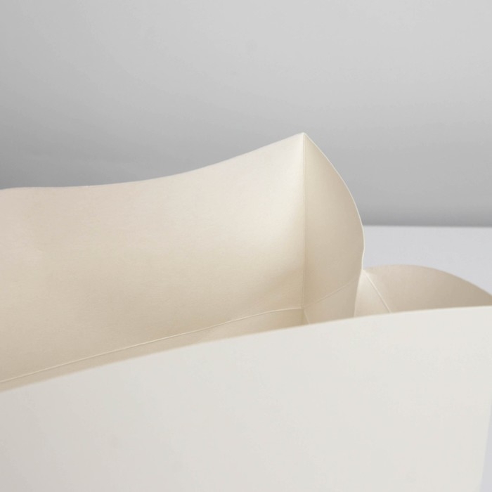 Пакет—коробка, подарочная упаковка, «Белый», 28 х 20 х 13 см Пакет—коробка, подарочная упаковка, «Белый», 28 х 20 х 13 см