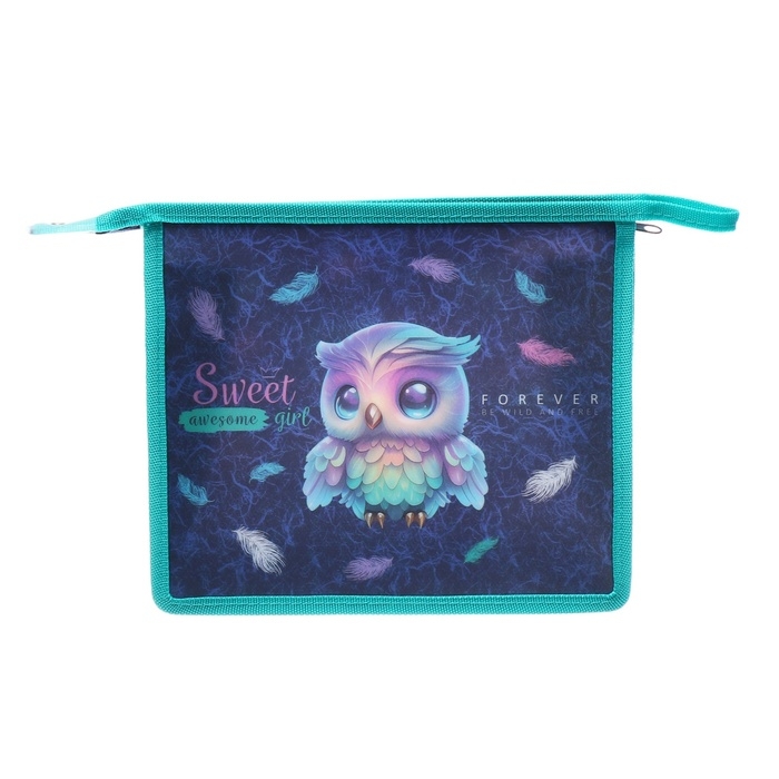Папка для тетрадей А5, 243 х 200 х 80 мм, молния сверху, пластиковая, de VENTE Happy Owl, для девочек Папка для тетрадей А5, 243 х 200 х 80 мм, молния сверху, пластиковая, de VENTE Happy Owl, для девочек