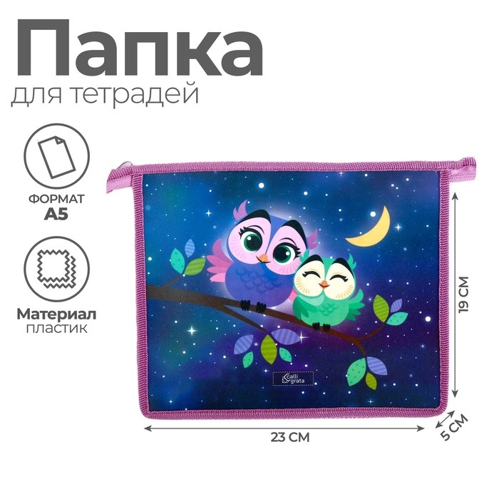 Папка для тетрадей А5, 230 х 190 х 50 мм, молния сверху, пластиковая, Calligrata Папка для тетрадей А5, 230 х 190 х 50 мм, молния сверху, пластиковая, Calligrata "Совы"