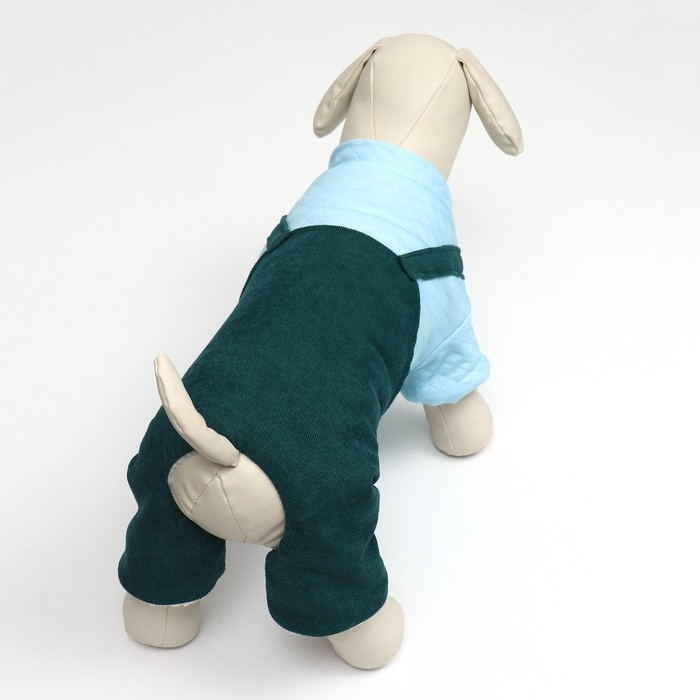 Комбинезон Комбинезон "Oops", размер XS (ДС 20 см, ОГ 30 см, ОШ 20 см), зелёный