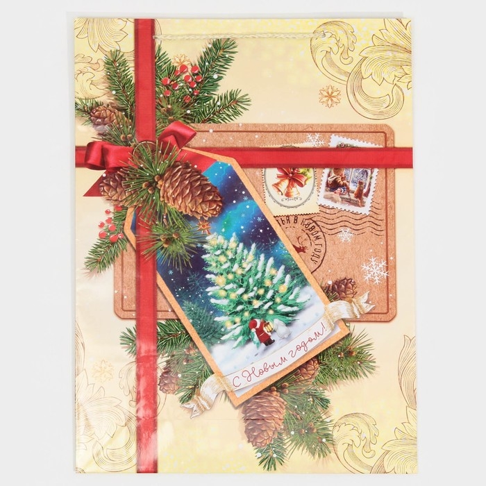 Пакет подарочный новогодний ламинированный «С Новым годом!», L 28 х 38 х 9 см Пакет подарочный новогодний ламинированный «С Новым годом!», L 28 х 38 х 9 см