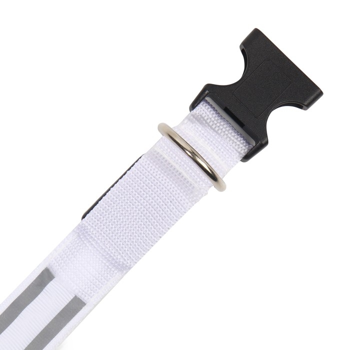 Ошейник с подсветкой Двойная полоса размер М, ОШ 40-48 х 2,5 см, 3 режима свечения белый Ошейник с подсветкой Двойная полоса размер М, ОШ 40-48 х 2,5 см, 3 режима свечения белый