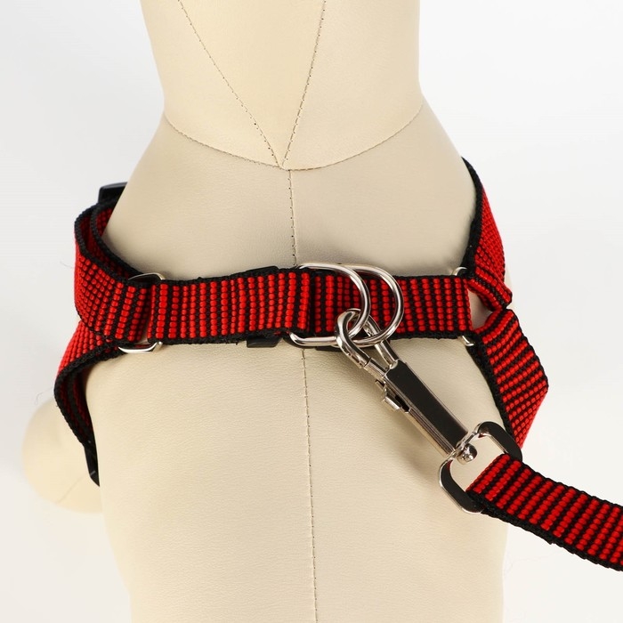 Комплект амуниции рельефный, поводок 120 х 2 см, ОГ 44-50 см, красно-чёрный Комплект амуниции рельефный, поводок 120 х 2 см, ОГ 44-50 см, красно-чёрный