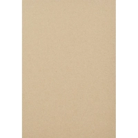 Картон белый Выбор есть Отличник 24л А4 немелован.пакет