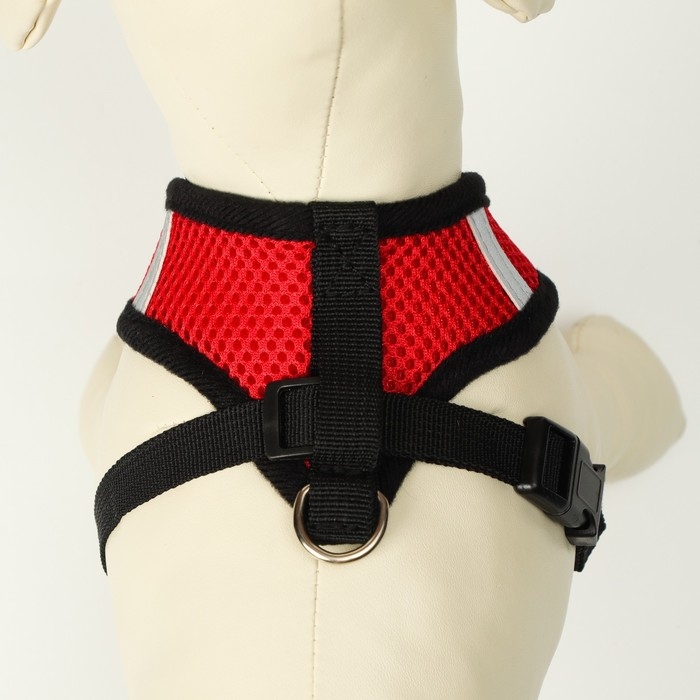 Комплект амуниции с мягкой шлейкой и светоотражающей нашивкой, L, ОШ 33 см, ОГ 36-48, красный 761309 Комплект амуниции с мягкой шлейкой и светоотражающей нашивкой, L, ОШ 33 см, ОГ 36-48, красный 761309