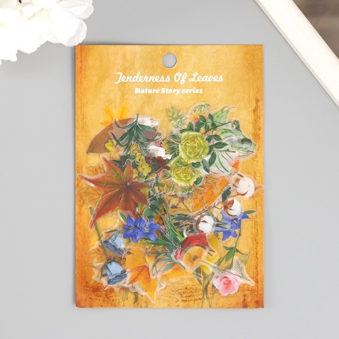 Наклейки для творчества пластик PVC Наклейки для творчества пластик PVC "Разнообразие природы" набор 60 шт 10х14 см