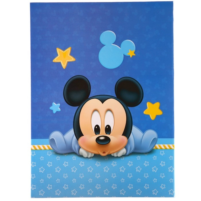 Обложка для документов набор Обложка для документов набор "Мои первые документы", Микки Маус, 21х30 см