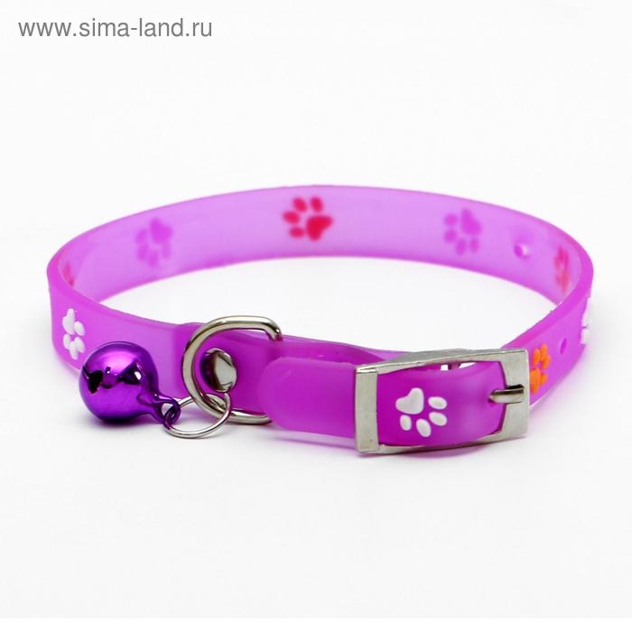 Ошейник из морозостойкого мягкого пластика Ошейник из морозостойкого мягкого пластика "Лапки", 28, 5 х 1 см, микс цветов