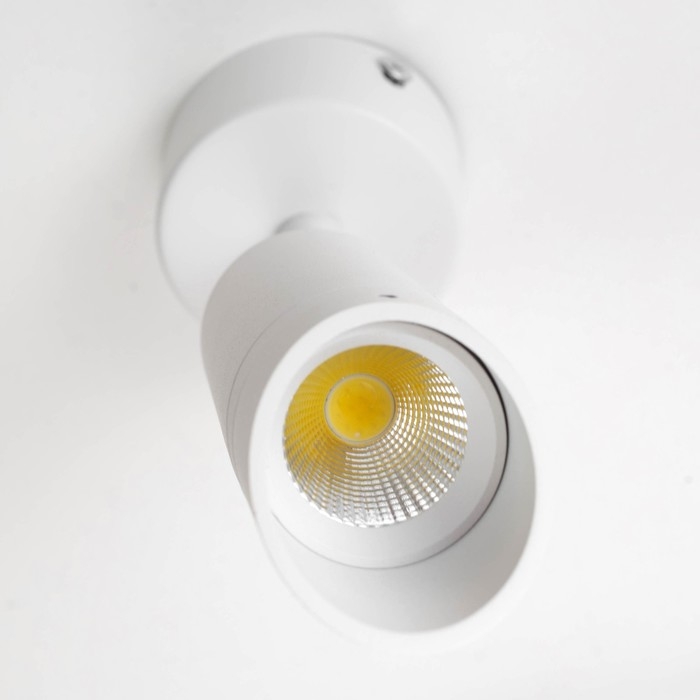 Спот Спот "Палми" LED 7Вт 4000К белый 6х6х19 см