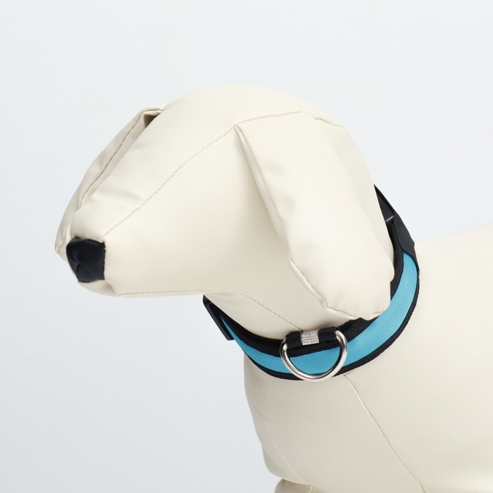 Ошейник с подсветкой Flash 3 режима свечения размер S, ОШ 35-43 х 2,5 см синий Ошейник с подсветкой Flash 3 режима свечения размер S, ОШ 35-43 х 2,5 см синий