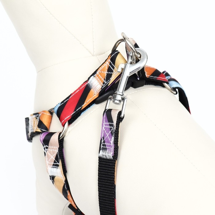 Комплект амуниции двухслойный, размер L, поводок 120 х 2 см, ОШ 31-45 см , ОГ 35-52 см, разноцветный Комплект амуниции двухслойный, размер L, поводок 120 х 2 см, ОШ 31-45 см , ОГ 35-52 см, разноцветный