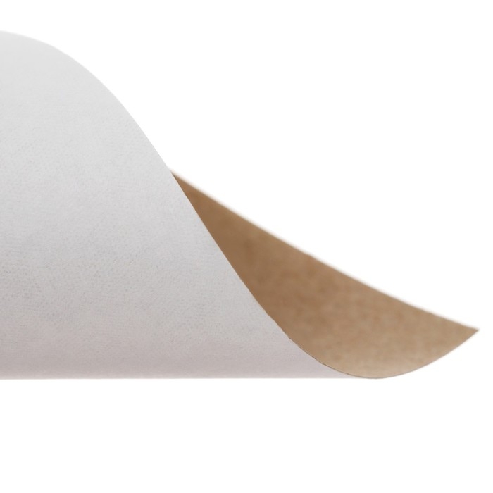 Картон белый А4, 8 листов  Картон белый А4, 8 листов "Луч", плотность 220 г/м2