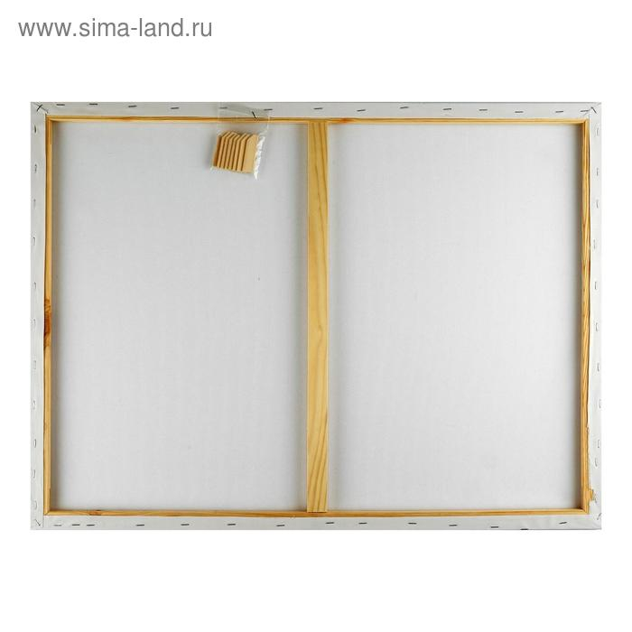 Холст на подрамнике, хлопок 100%, 60 х 80 х 2 см, акриловый грунт, мелкозернистый, 280 г/м² Холст на подрамнике, хлопок 100%, 60 х 80 х 2 см, акриловый грунт, мелкозернистый, 280 г/м²