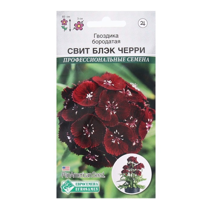 Семена Цветов Гвоздика бородатая Свит Блэк Черри, 5 драже Семена Цветов Гвоздика бородатая Свит Блэк Черри, 5 драже