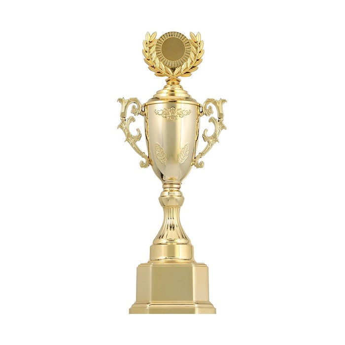 Кубок 122D, наградная фигура, золото, подставка пластик, 29,5 &times; 11 &times; 8 см.