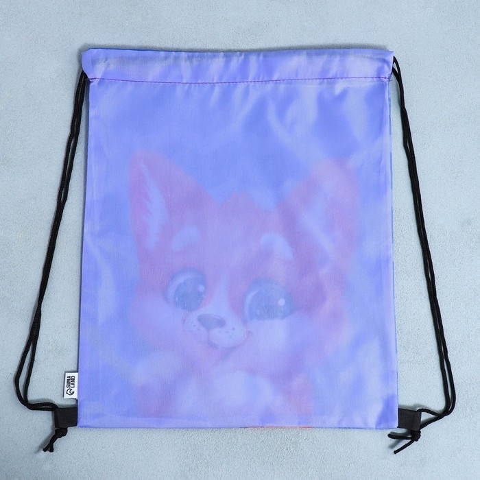 Мешок для обуви «Очаровательный щенок» болоньевый материал, 30 х 40 см Мешок для обуви «Очаровательный щенок» болоньевый материал, 30 х 40 см